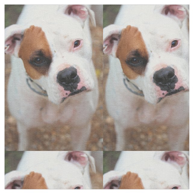 Tela Salto (De cerca)