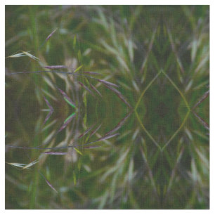 Tela Se Fue A La Semilla