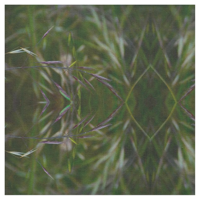 Tela Se Fue A La Semilla (De cerca)