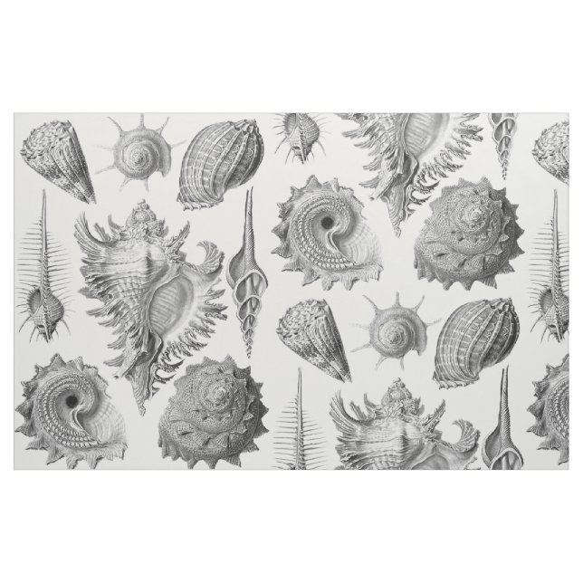 Tela Seashells del vintage ("Cuarto gordo" (fat quarter))