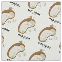 Tela Semilla dentro del humor de la anatomía de la haba