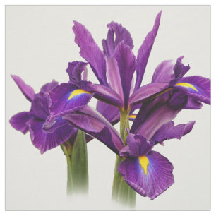 Tela Sensación Elegante Holandesa Iris Purple