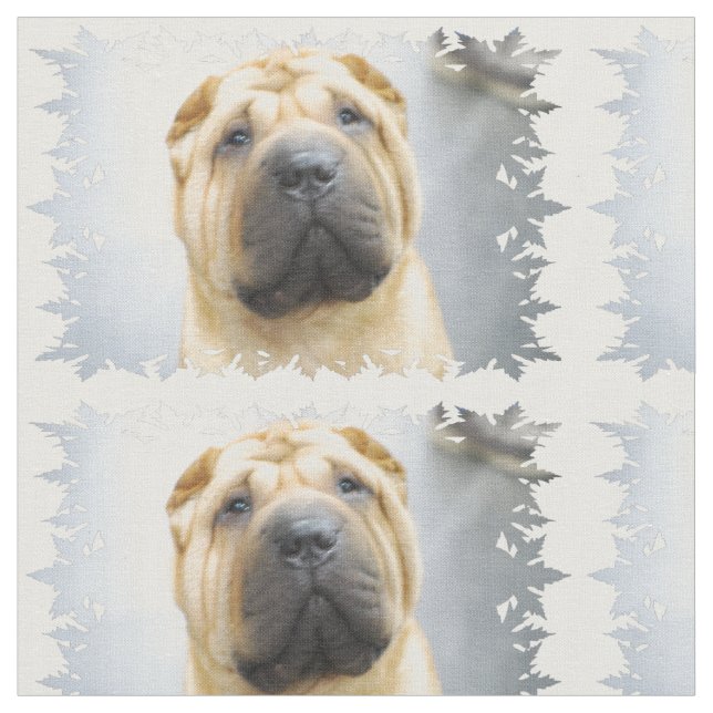 Tela Shar Pei (De cerca)