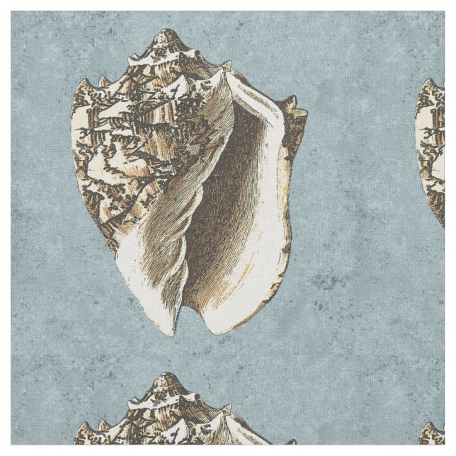 Tela Shell de conchas encalladas (De cerca)