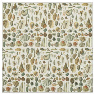 Tela Shell de conchas marinas Mollusk Clam Elegante Art