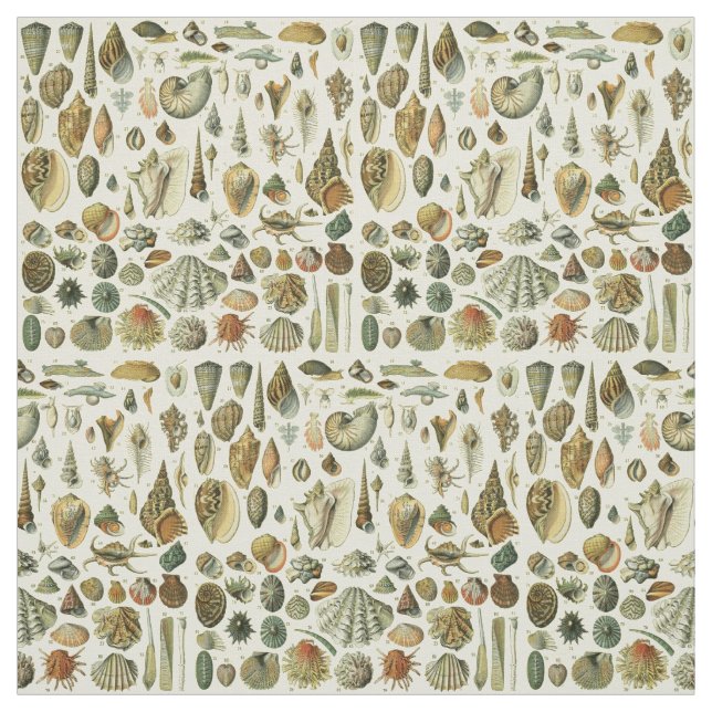 Tela Shell de conchas marinas Mollusk Clam Elegante Art (Retal)