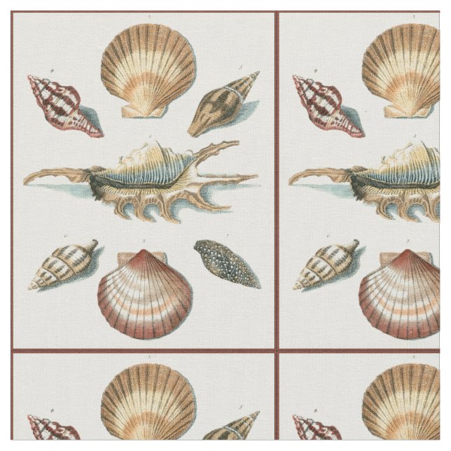 Tela Shell de lujo vara (De cerca)