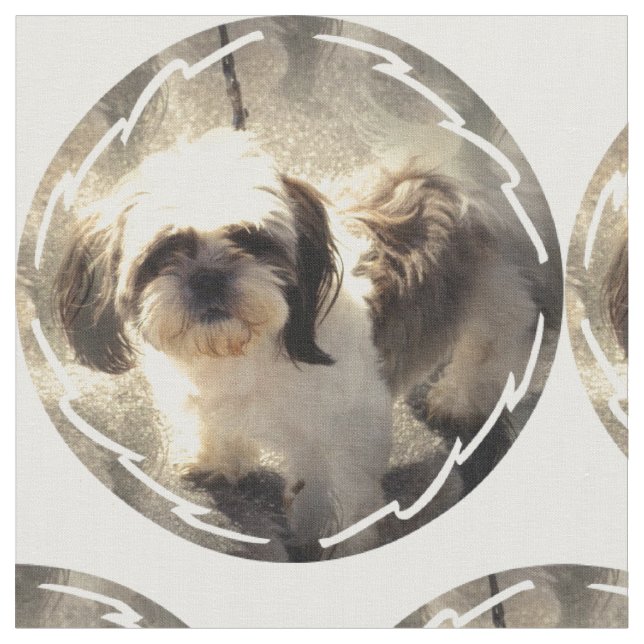 Tela shih-tsu-2 (De cerca)