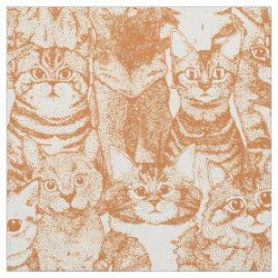 Tela solo gatitos de especias