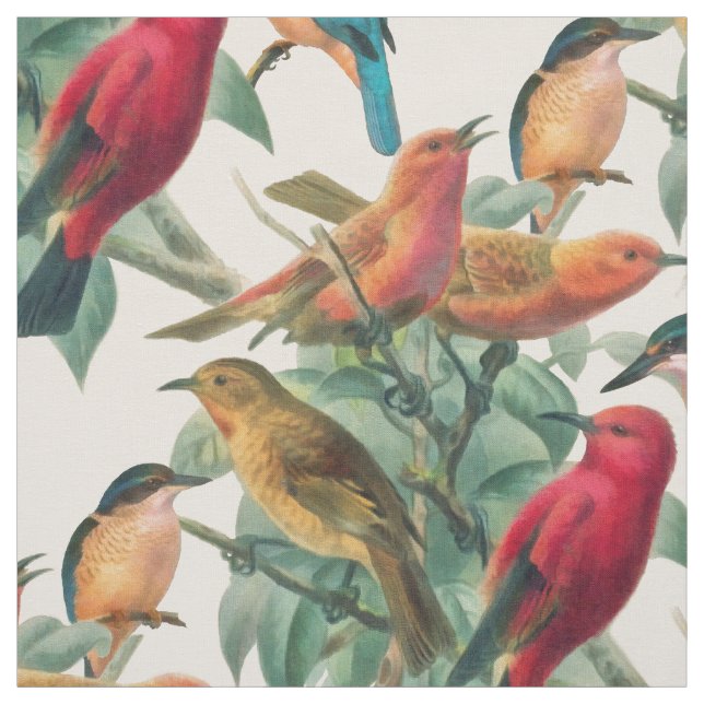 Tela Songbirds (Retal)