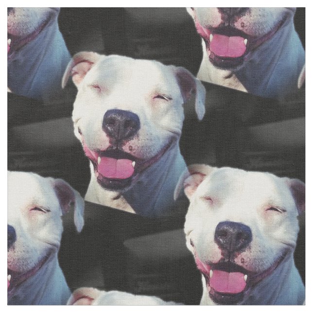 Tela Sonrisa (De cerca)