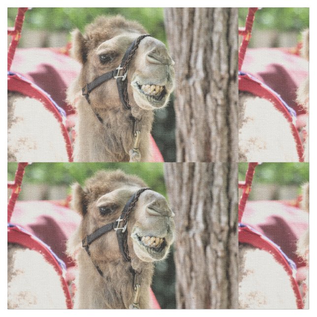 Tela Sonrisa (De cerca)