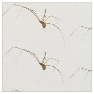 Tela Spider