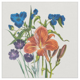 Tela Spiderwort y Daylily