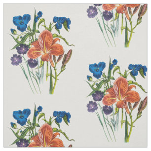 Tela Spiderwort y Daylily