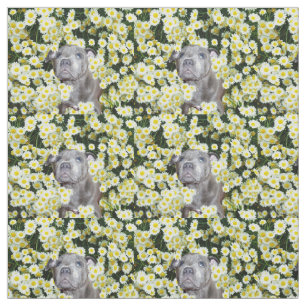 Tela Staffordshire Bull Terrier Y Daisies,