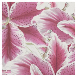 Tela Stargazer Lilly
