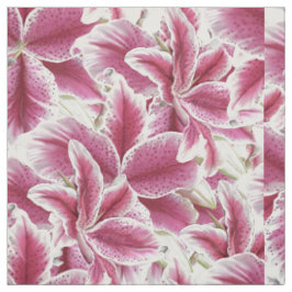 Tela Stargazer Lilly