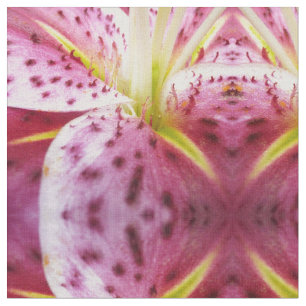 Tela Stargazer Lily Bright Magenta Floral