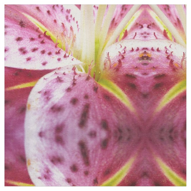 Tela Stargazer Lily Bright Magenta Floral (De cerca)