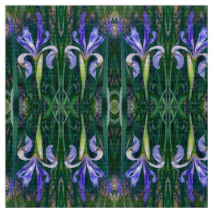 Tela ¡Su nombre era iris!