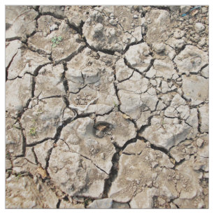 Tela Suelo muy seco y agrietado