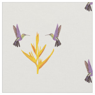 Tela Sueño de Hummingbirds