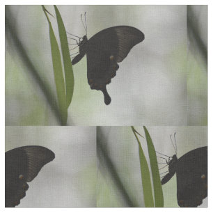 Tela Swallowtail negro