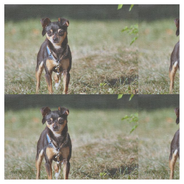 Tela Taco (De cerca)