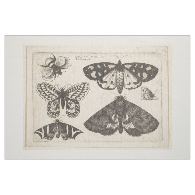 Tela Tapicería del insecto de la abeja de la mariposa ("Cuarto gordo" (fat quarter))