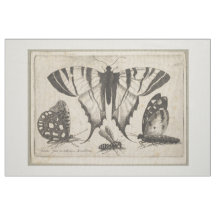 Tapicería del insecto de la avispa de las