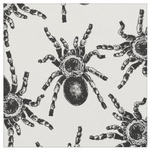 Tela Tarantula