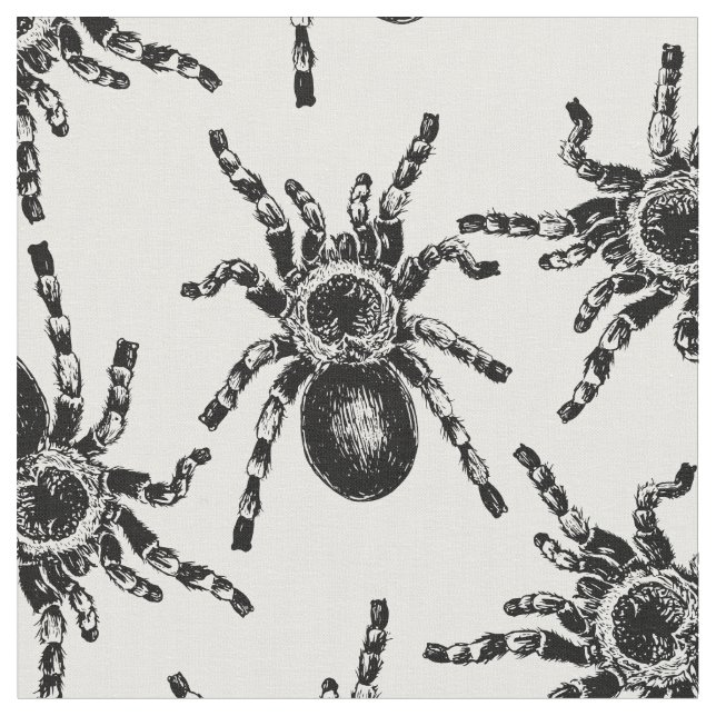 Tela Tarantula (De cerca)