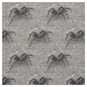 Tela Tarantula
