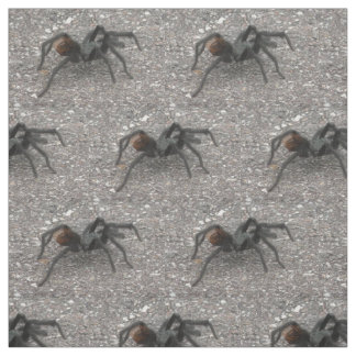 Tela Tarantula