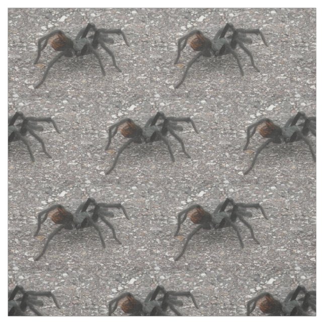 Tela Tarantula (Retal)