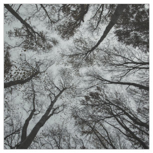 Tela Techo blanco y negro del bosque