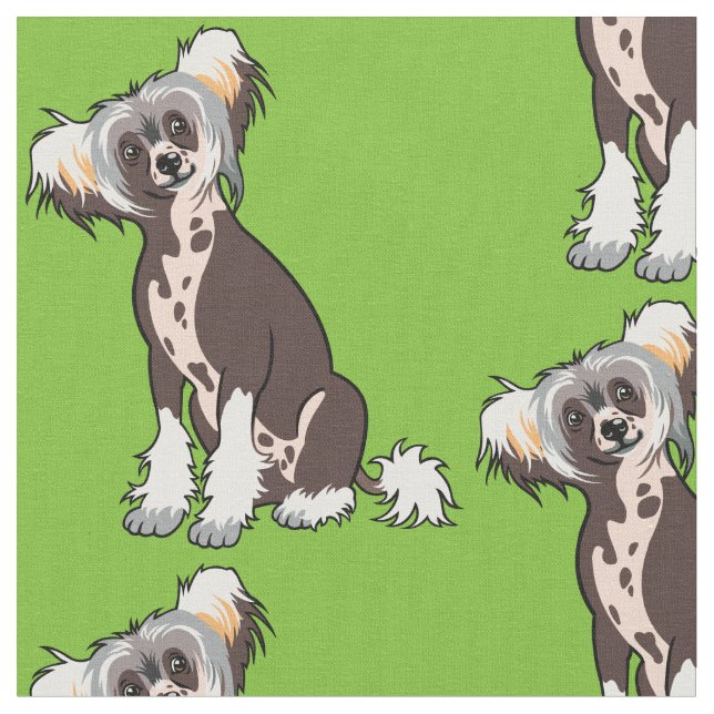 Tela Tejido chino de perro en reposo (De cerca)