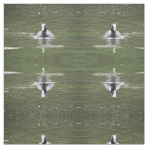 Tela Tejido De Animales De Natación En Coto