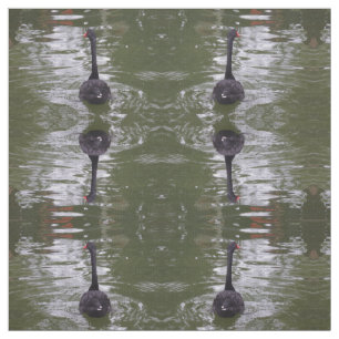 Tela Tejido de cisne negro