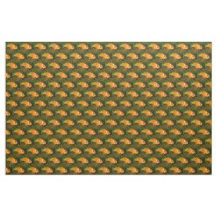 Tela Tejido de pez de payaso