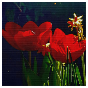 Tela Tejido de tulipán rojo