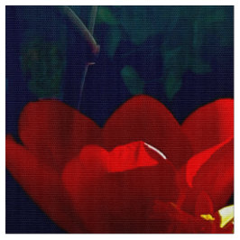 Tela Tejido de tulipán rojo