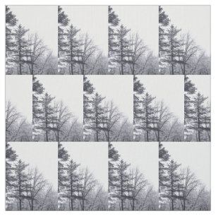 Tela Tejido fotográfico de invierno de árboles cubierto