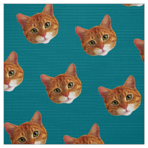 Tela Tela: Gatos del jengibre