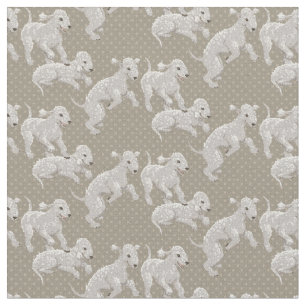 Tela Terrieres de Bedlington