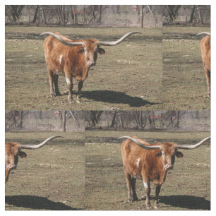 Tela ¡Texas Long Horns!