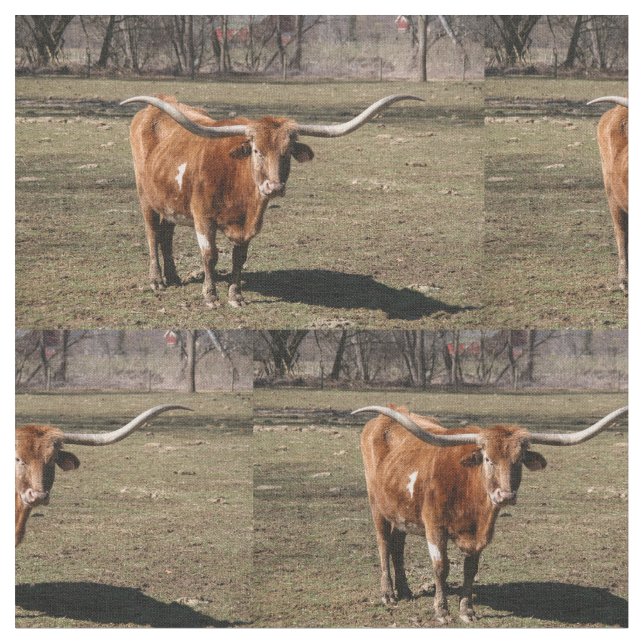 Tela ¡Texas Long Horns! (De cerca)