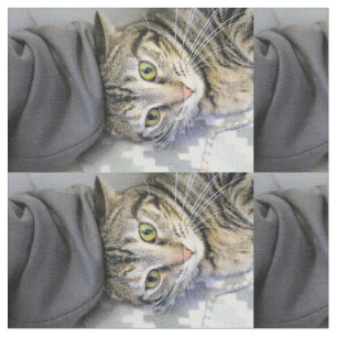 Tela Tigre