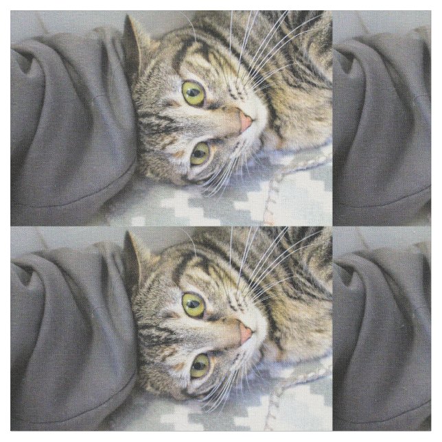 Tela Tigre (De cerca)